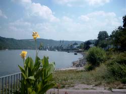 Rheinblick auf Boppard und die Niedersburg